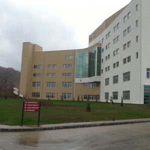 bitlis-tatvan-devlet-hastanesi10